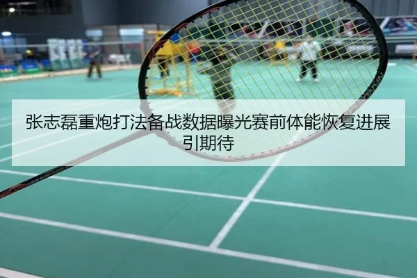 张志磊重炮打法备战数据曝光赛前体能恢复进展引期待